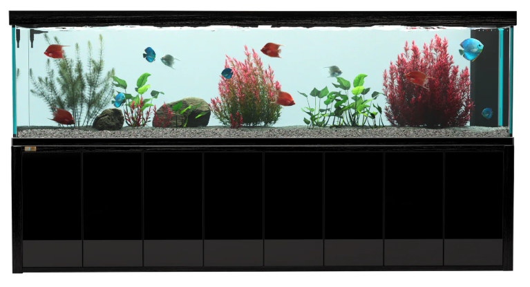 500 gallon fish tank